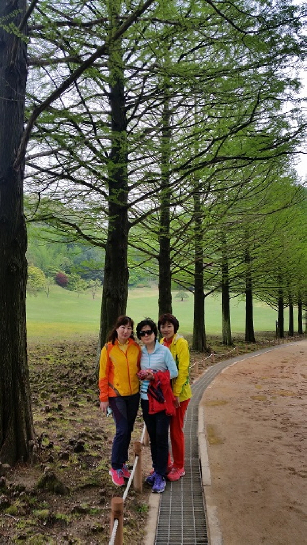 20150429_150553.jpg