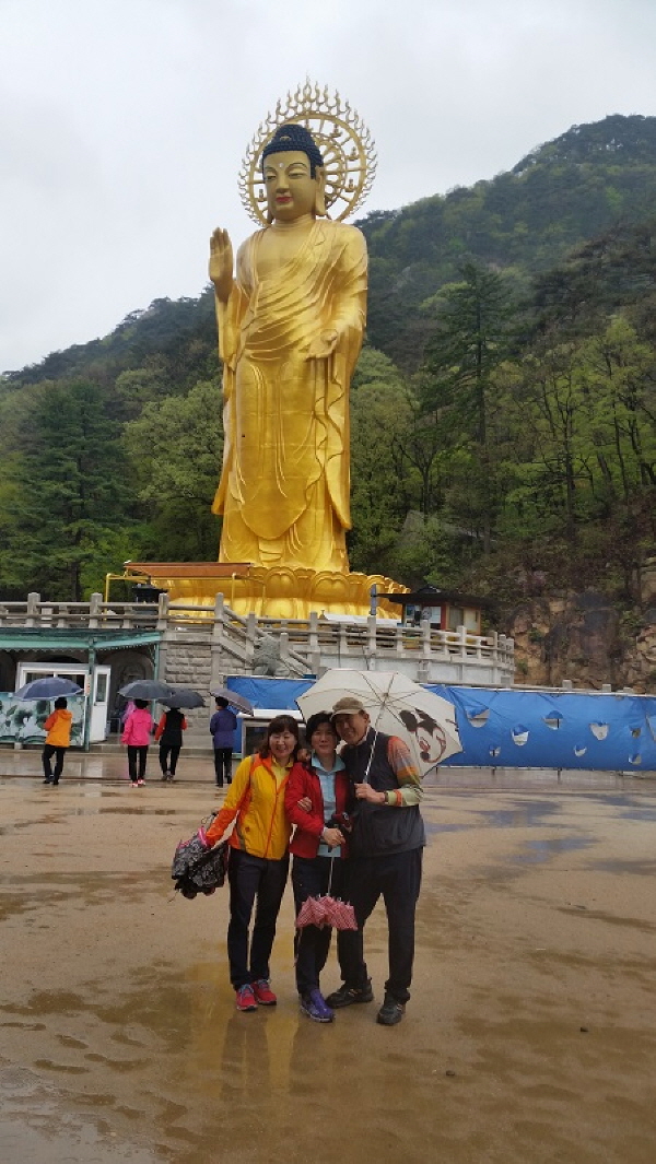 20150429_120804.jpg