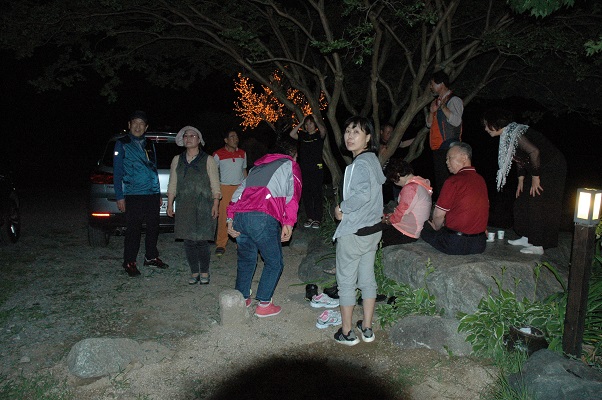 DSC_0385.JPG