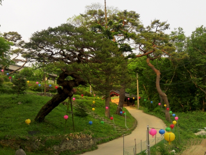 크기변환_2012-05-09 17.31.12.jpg