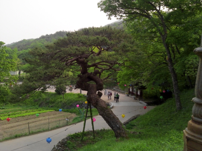 크기변환_2012-05-09 17.45.49.jpg